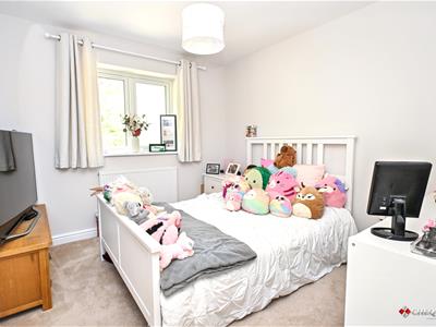 Picture 12